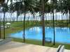 The Blue Water 